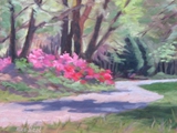 Spring on Poteskeet Trail • 8 x 10 • $175